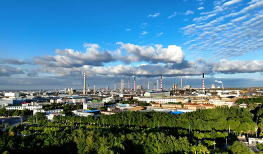 Indonesia Jinchuan Ferronickel Smelting Process Equipment Upgrade Project